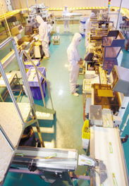 徐州民營經濟集群發展 以管理創新驅動轉型升級